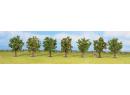 NOCH 25090 (HO, TT, N, Z) - 7  arbres fruitiers verts de 8 cm