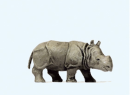 PREISER 29503 HO - Jeune rhinocros indien