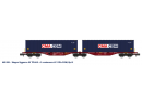 REE Modles NW289 N - Wagon porte containers Sggmrss CMA CGM ep VI